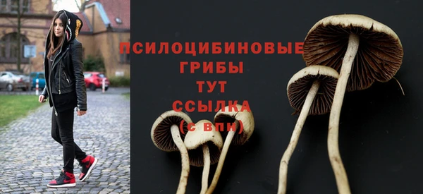 не бодяженный Ельня