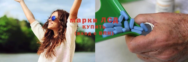 скорость Елизово