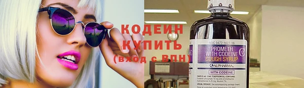 скорость Елизово
