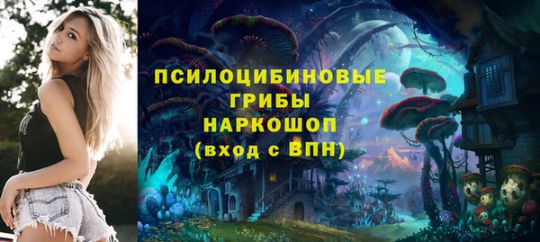 не бодяженный Ельня