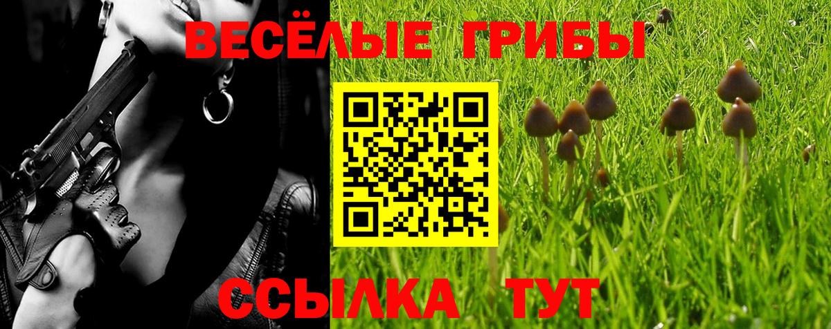 Одинцово  где купить наркотик  Вход с VPN  Псилоцибиновые грибы Cubensis 